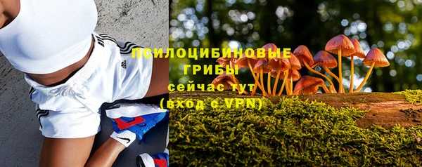 мяу мяу мука Горняк
