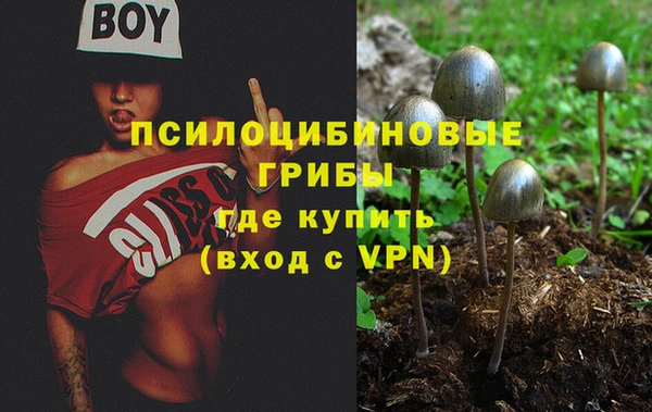 ALPHA PVP Горно-Алтайск